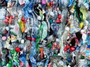 bottle collecting/recycling Adelaide