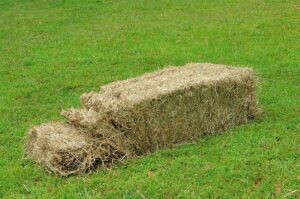 baling twine