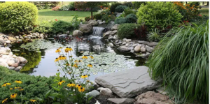 landscape design