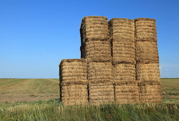 Baler Twine How Australian Regulations Affect the Use and Import of Baler Twine